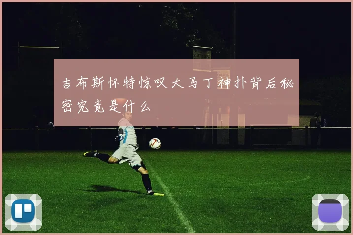 吉布斯怀特惊叹大马丁神扑背后秘密究竟是什么