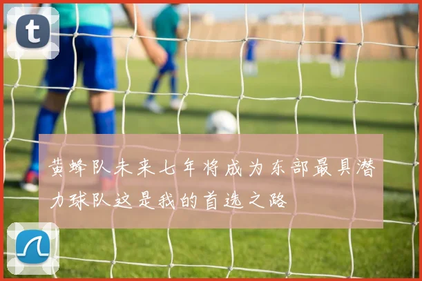 黄蜂队未来七年将成为东部最具潜力球队这是我的首选之路