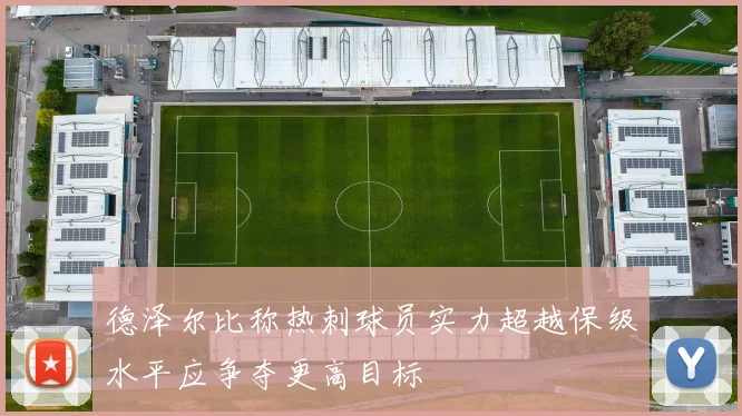 德泽尔比称热刺球员实力超越保级水平应争夺更高目标